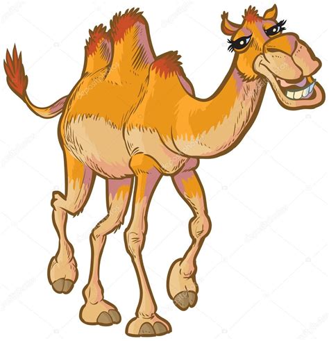 100+ Camel Feet Cartoon Stock Illustrations, Royalty。